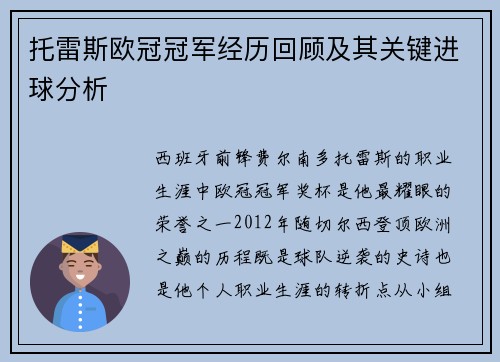 托雷斯欧冠冠军经历回顾及其关键进球分析